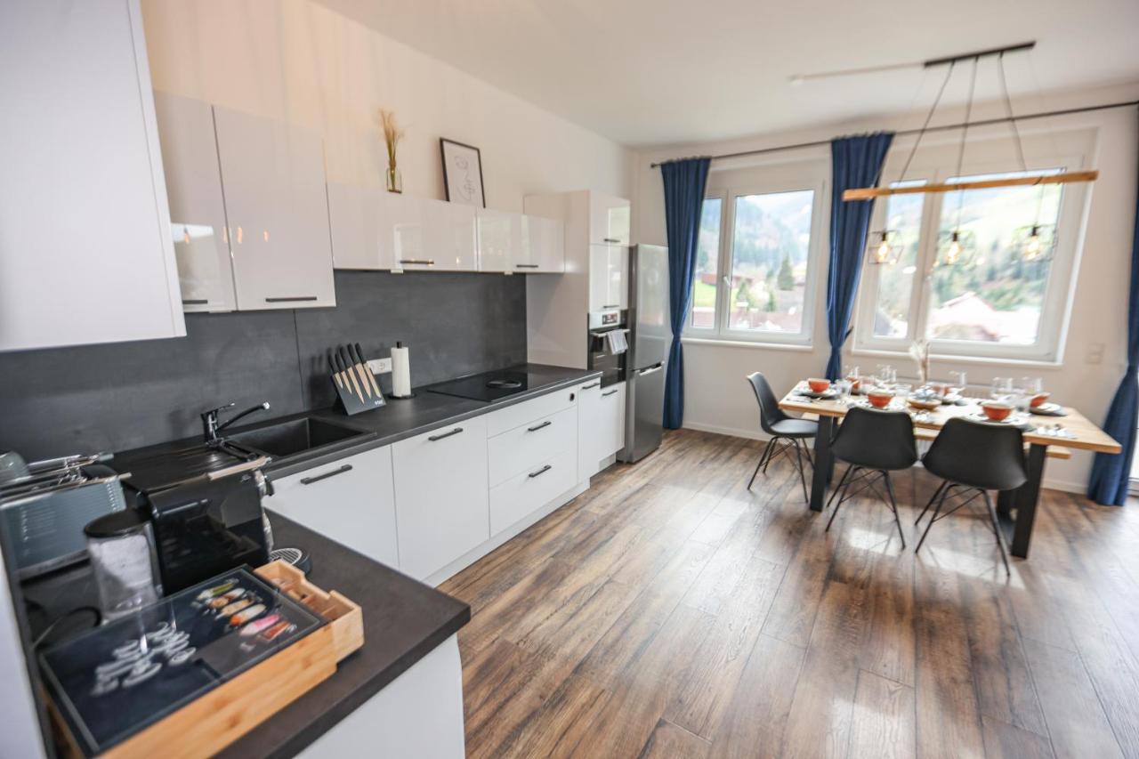 Penthouse I 106 Qm I 2 Balkone I Boxspring I Nespresso I Parkplatz Daire Oberharmersbach Dış mekan fotoğraf
